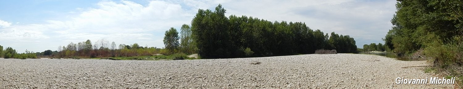Parco del Ticino: incontri del 26.7.15